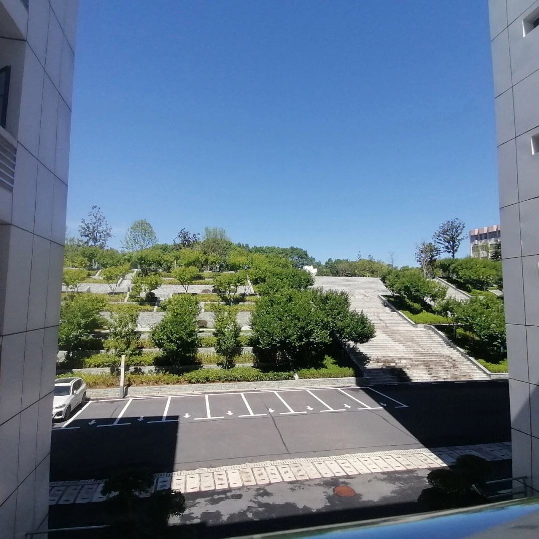 襄阳职业技术学院
