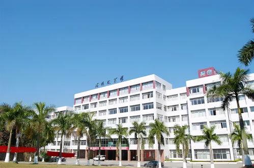 广东大学巡礼 罗定职业技术学院与襄阳汽车职业技术学院特色探析